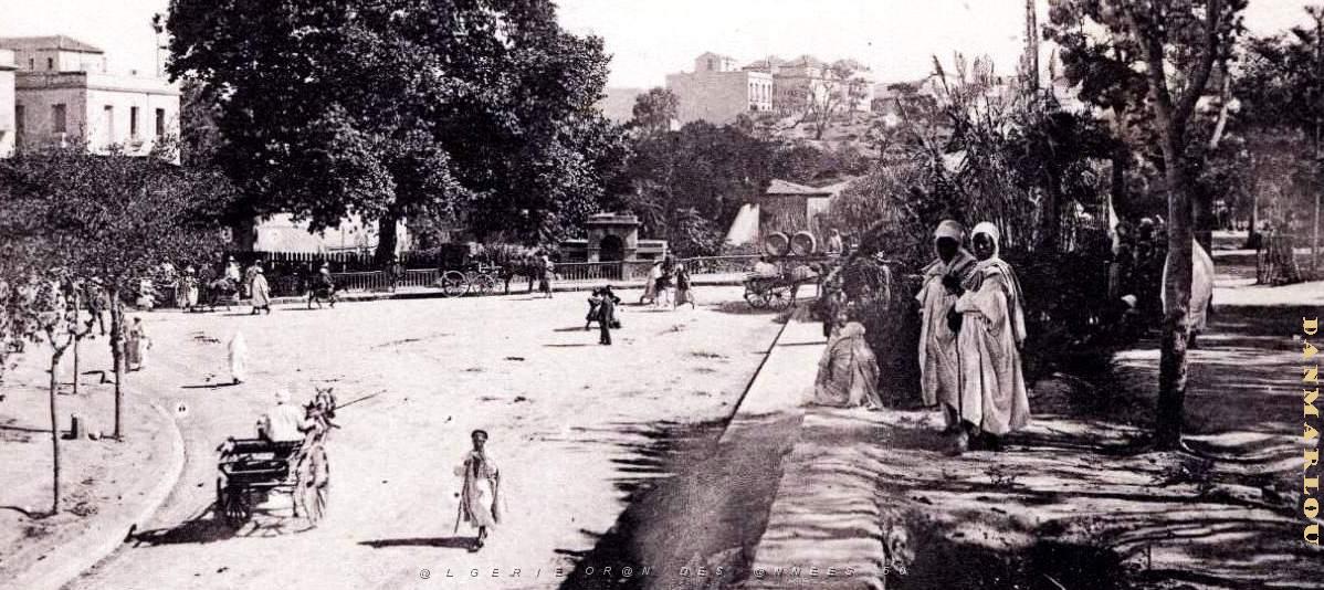 2964- Mostaganem - Avenue de la Pepiniere2.jpg